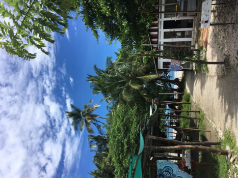 Costa Rica - Pura Vida in Samara