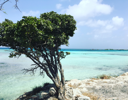 Aruba - Aruba op zijn mooist!