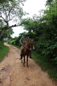 Cuba - Local op paard