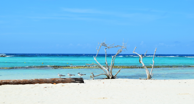 Aruba - Drie op een rij!