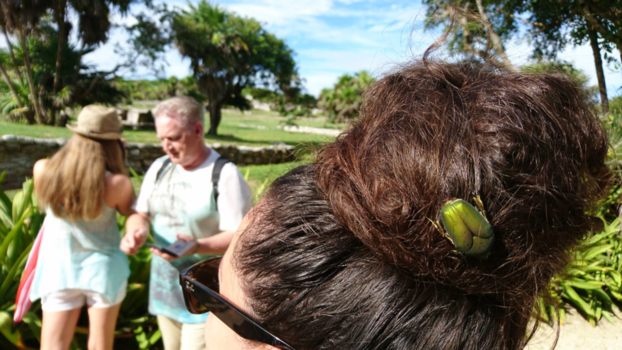 Tulum - Bijzondere landingsplaats van deze tor in Mexico