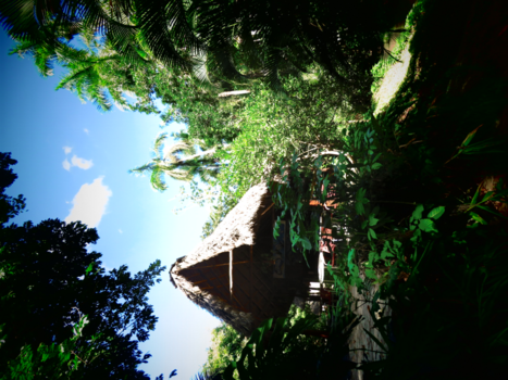 Viñales Valley - Huisje in de natuur bij de grotten