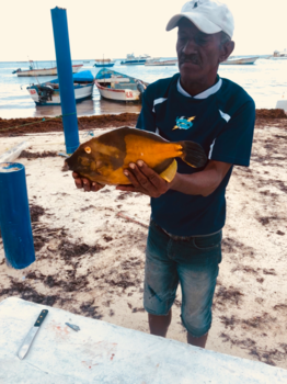 Dominicaanse Republiek - Verse vis