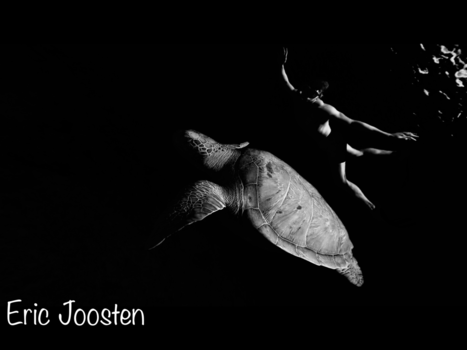 Curaçao - Het perfecte plaatje