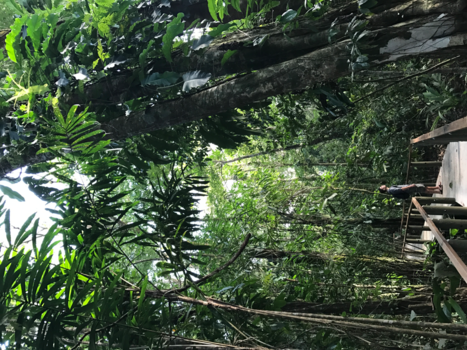 Tortuguero National Park - Let's get lost.