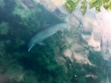 Playa del Carmen - Mooi strand