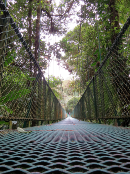 Costa Rica - rondreis costa rica februari 2017