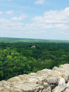 Mexico - Jungle tempels