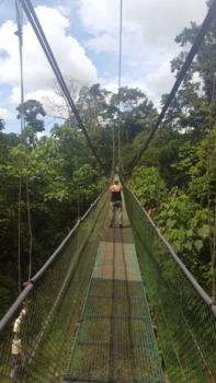Costa Rica - Hanging bridge