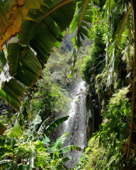 Mexico - waterval
