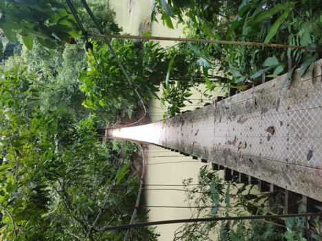 Costa Rica - Brug over een krokodillen rivier