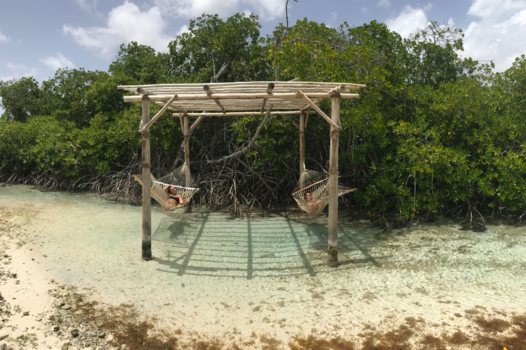 Aruba - Chille met die bille