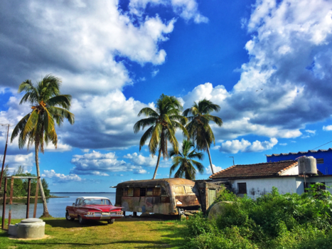 Playa Larga - Fidel’s Pardise