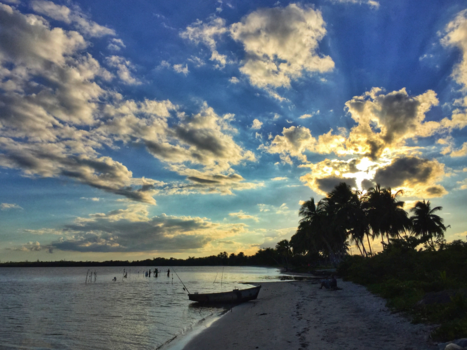 Playa Larga - Old Man And The Sea