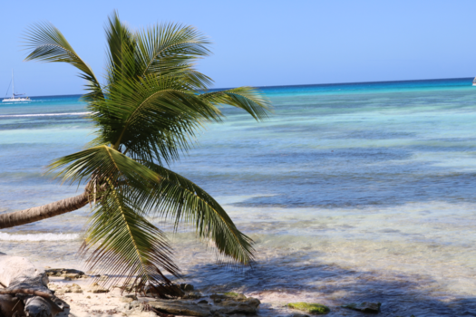 Dominicaanse Republiek - Een echt vakantie kiekje. Net alsof het een schilderij is!