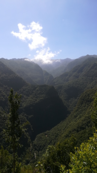 La Palma - Los Tilos.