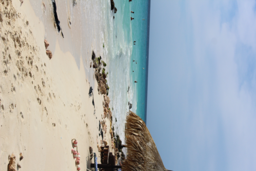 Aruba - Manchebo beach