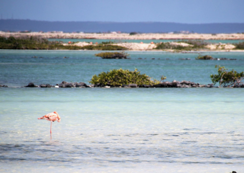 Bonaire - Laagjes blauw