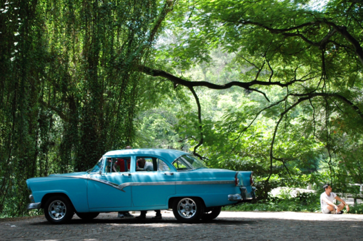 Cuba - Een oude auto verscholen in dit prachtig belichte bos in Havana