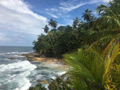Puerto Viejo de Talamanca - Paradijs