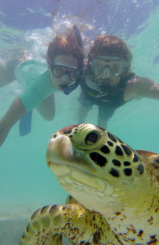 Silver Sands - Super selfie met de allergezelligste Turtle van de Caribiën! :)