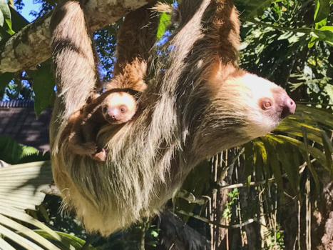 Nicaragua - Good morning