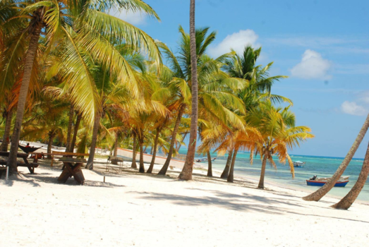 Dominicaanse Republiek - Saona Island