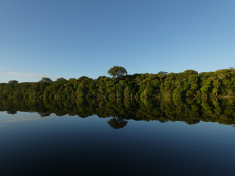 Tortuguero National Park - Vroege ochtend op het water