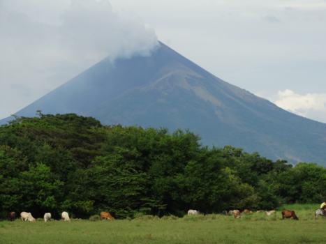 Nicaragua - Peak Perfect