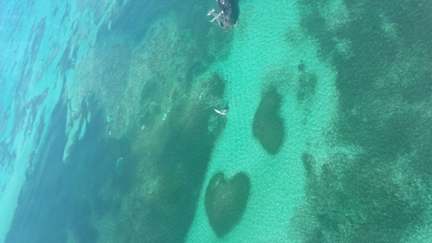 Dominicaanse Republiek - Beautiful  ocean❤