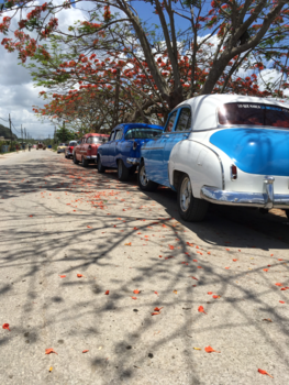 Viñales Valley - Cuba colors