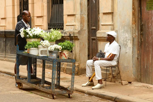 Cuba - Flowers from Cuba
