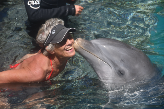 Curaçao Sea Aquarium - Zo vreselijk lief! ♥️