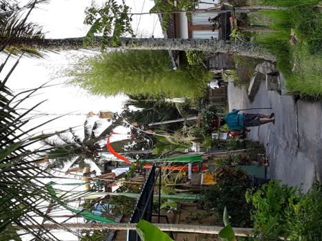 Bonaire - Penestanan - Bali