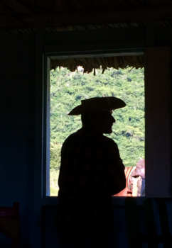 Viñales Valley - Cuban farmer