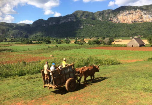 Viñales Valley