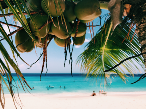 Curaçao - Beautiful Cas Abao 🌴💚