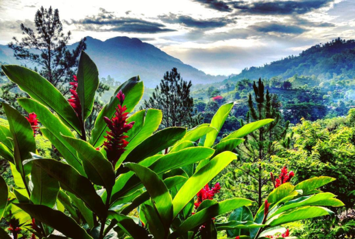 Guatemala - Semuc Champey Zephyr Lodge