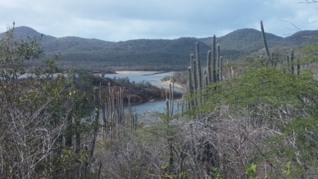Washington-Slagbaai National Park - Alles in één