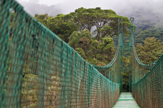 Costa Rica - Het prachtige nevelwoud van MonteVerde