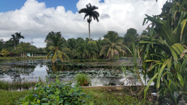 Cuba - Nature of Cuba