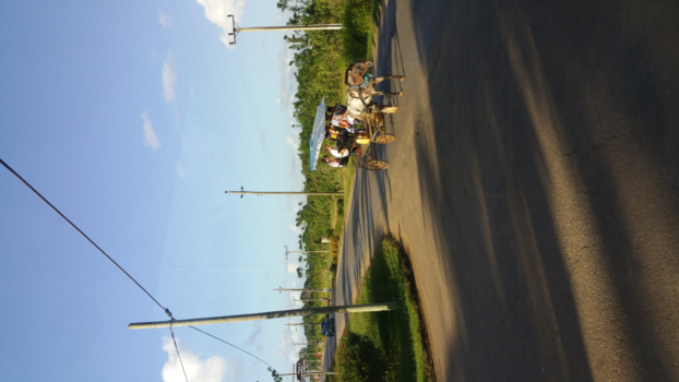 Cuba - Paard en wagen