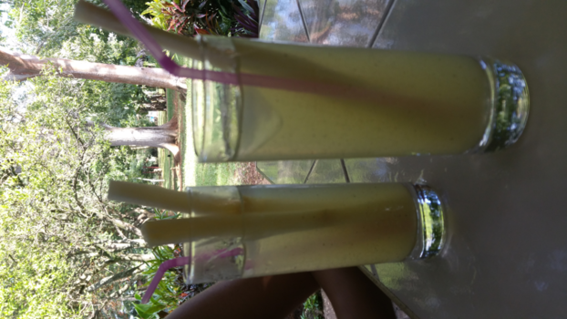 Cuba - Rietsuiker en rum