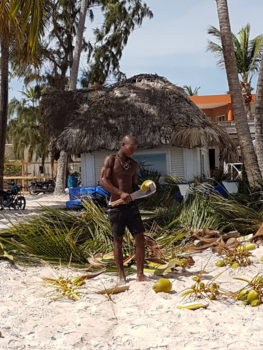 Santo Domingo (Dominicaanse Republiek) - Genieten, eten, zon, angst  voorbereiding orkaan Irma