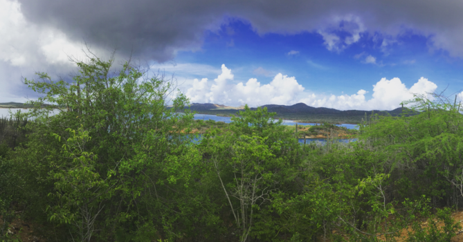 Kralendijk - Natuur op Bonaire