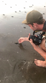 León - Turtle Hatchery