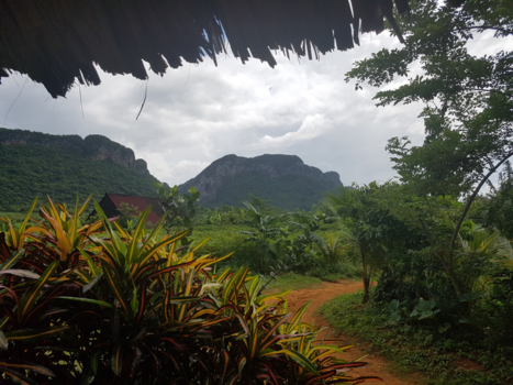 Viñales Valley - De heuvels van Vinales, Cuba