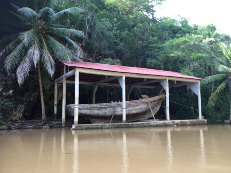 Dominicaanse Republiek - A surprise on The river