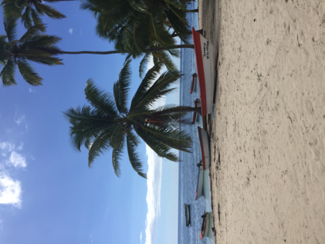 Dominicaanse Republiek - Tropical island