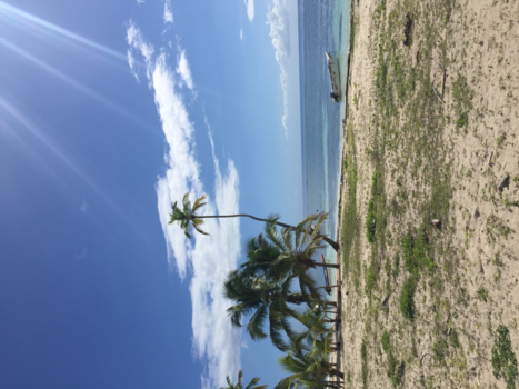 Dominicaanse Republiek - Another paradise